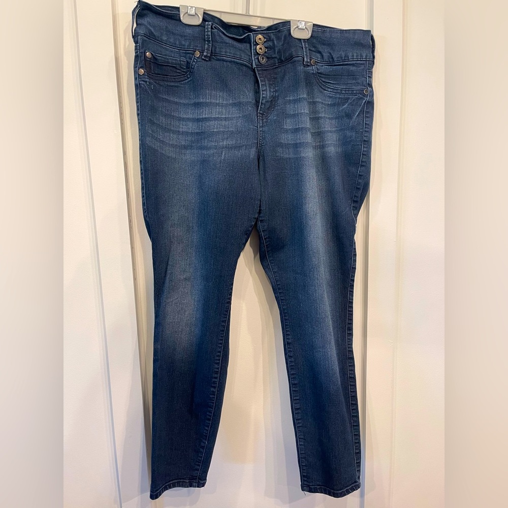 Torrid Denim